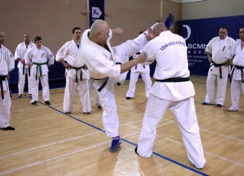 +79119745888 звонок из Ашихара-каратэ