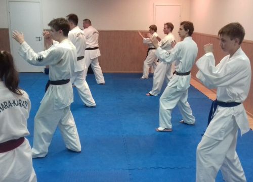 +79119745888 звонок из Ашихара-каратэ