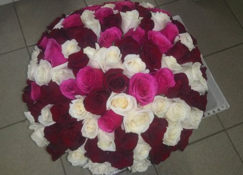 +79121156065 звонок из Миллион алых роз