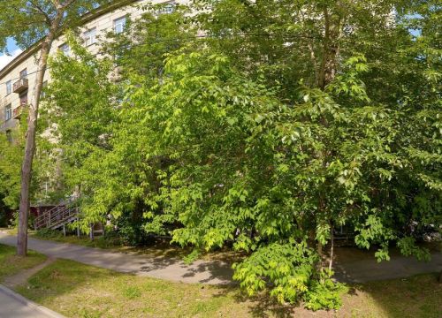 +79122461744 звонок из GreenMade