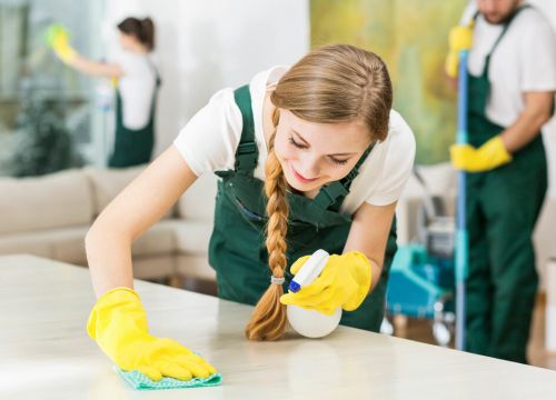 +79124530205 звонок из Клининговая компания Lite Clean