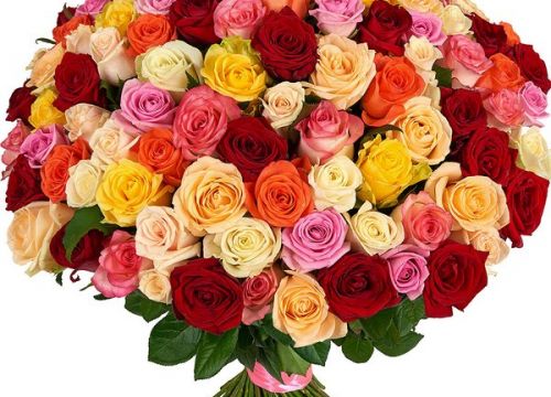 +79124754950 звонок из Цветочница Анюта