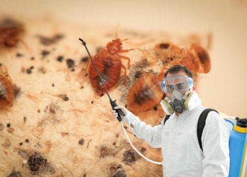 +79125772266 звонок из УралАгроВетСервис