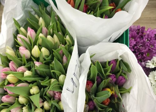 +79125892120 звонок из Сад Вашей мечты