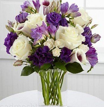 +79125892120 звонок из Сад Вашей мечты