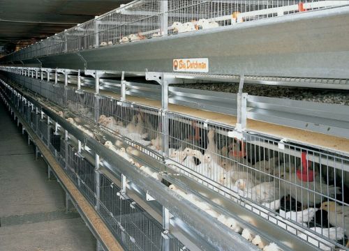 +79126042987 звонок из Биг Дачмен