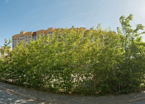 +79126122129 звонок из Малыши-малышки