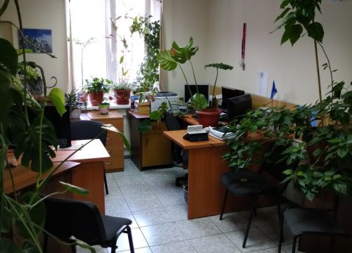 +79126270707 звонок из Динком