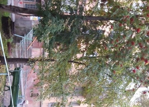 +79126600525 звонок из Участковый пункт полиции