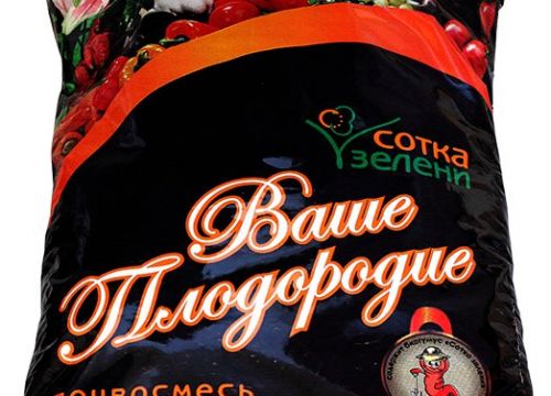 +79127062627 звонок из Сотка зелени