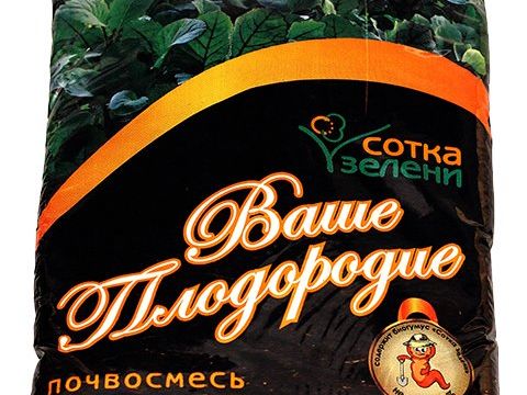 +79127062627 звонок из Сотка зелени