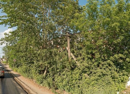 +79128581055 звонок из Агромаркет