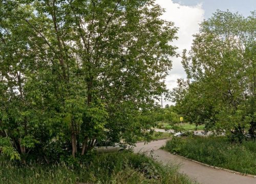 +79128581572 звонок из Книги издательства Легион