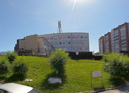 +79130173295 звонок из OrganicFood