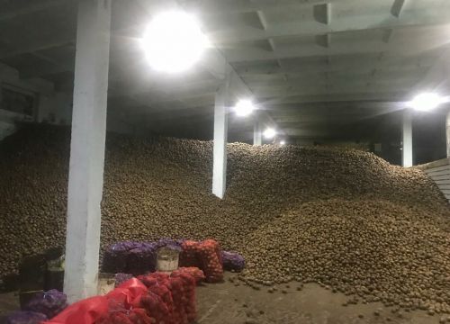 +79131300077 звонок из Крестьянско-фермерское хозяйство Балагуровой А.В.