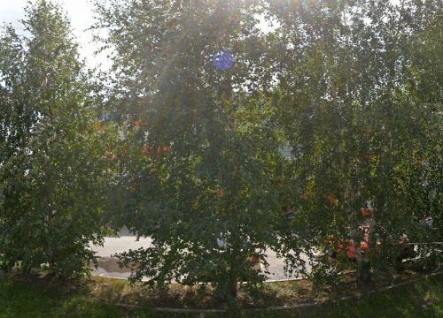 +79132200443 звонок из Ratibo