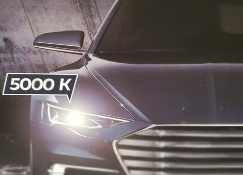 +79133770090 звонок из Майгаджет