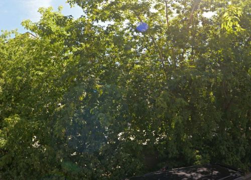 +79133930101 звонок из Адвокат Перетолчин А. Ю.