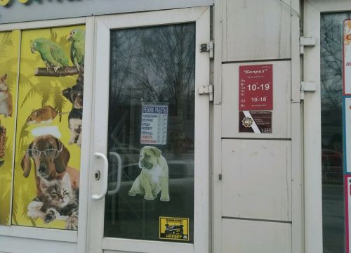 +79134213285 звонок из Каприз