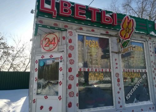 +79137014710 звонок из Цветы