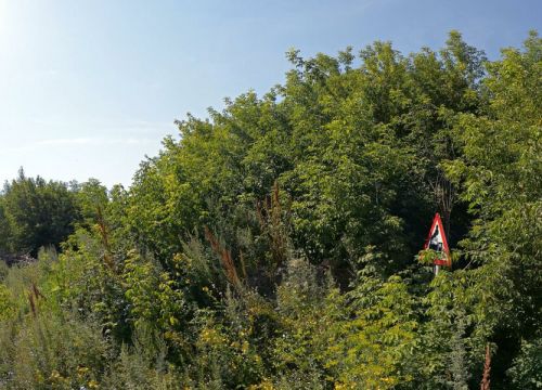 +79137475828 звонок из Рыб-АС