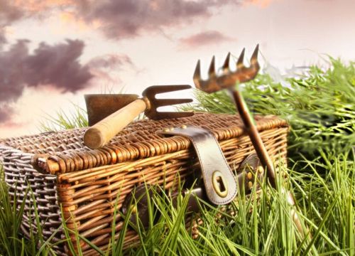 +79137673232 звонок из Азия Стриж