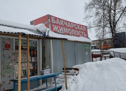+79138775325 звонок из Бакчарские саженцы