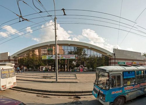 +79138775325 звонок из Бакчарские саженцы