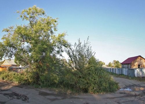 +79142055072 звонок из Авто-форвард