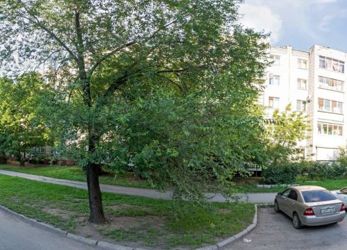 +79145893572 звонок из TapiBoo