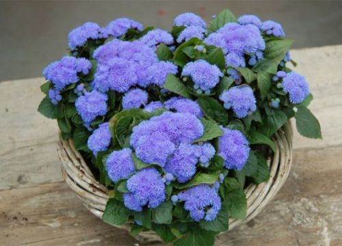 +79149226270 звонок из Агро-Ярко