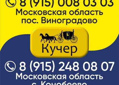 +79150080303 звонок из Кучер