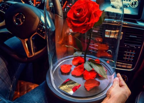 +79150450469 звонок из Роза в колбе