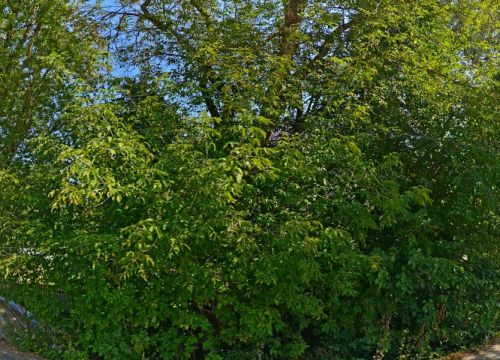 +79150681545 звонок из Веха