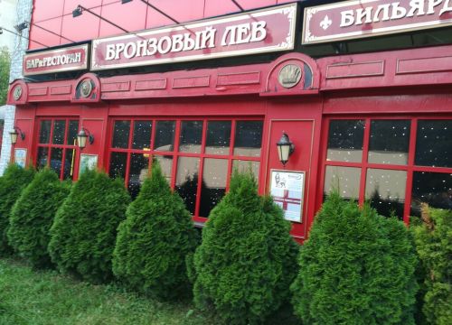 +79151000119 звонок из Бронзовый лев