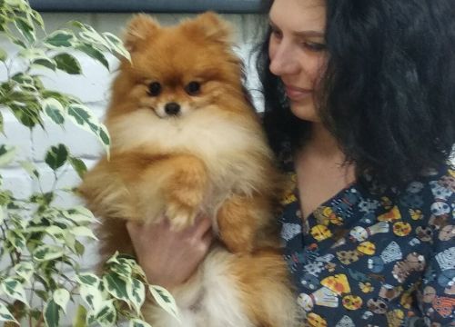 +79151530603 звонок из Симба, доктор Семёнова Елизавета Андреевна