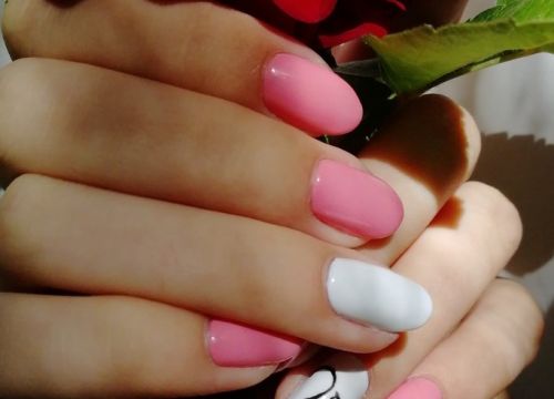 +79151531818 звонок из Фиалкиstudio