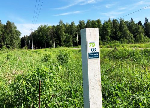 +79152031032 звонок из ДНП Горбуновское