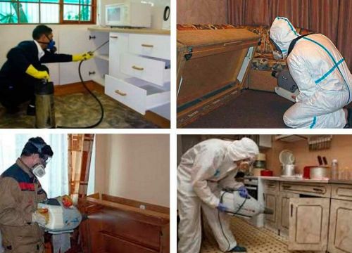 +79152153002 звонок из Центр дезинфекции Дезборец