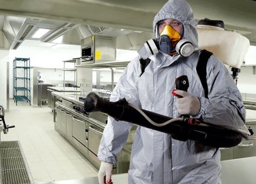 +79152153002 звонок из Центр дезинфекции Дезборец