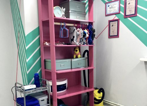 +79152240099 звонок из Rock Dog