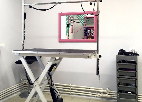 +79152240099 звонок из Rock Dog