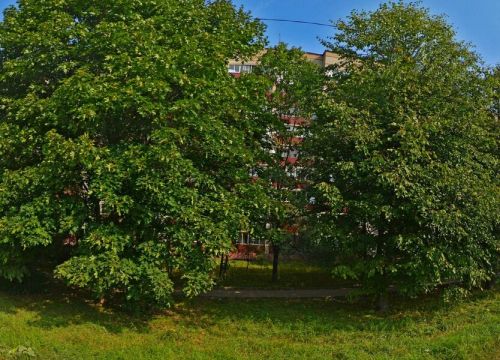 +79152360588 звонок из Доставка любых грузов