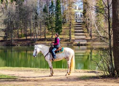 +79152401212 звонок из Середниково