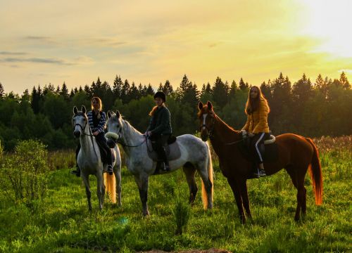 +79152401212 звонок из Середниково