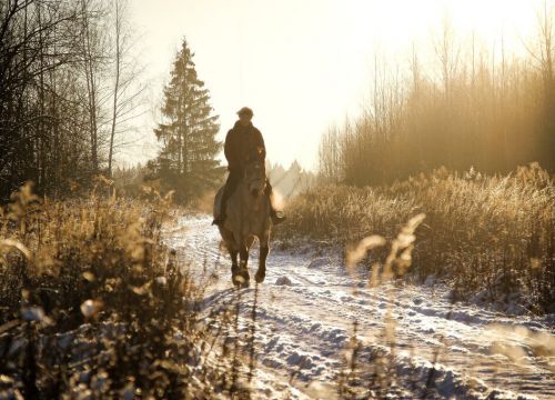 +79152401212 звонок из Середниково