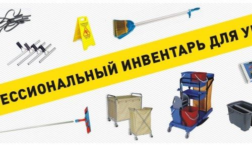 +79152440011 звонок из Статус Чистоты