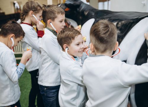 +79152441001 звонок из Земляничный город