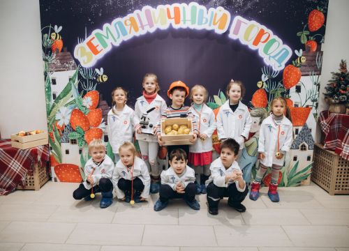 +79152441001 звонок из Земляничный город
