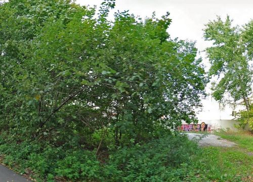 +79152542988 звонок из WESTavtoekspress